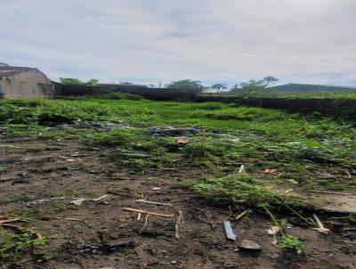 Terreno para Venda, em Itanham, bairro Jardim das Palmeiras