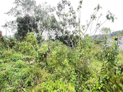 Terreno para Venda, em Itanham, bairro Jardim Coronel