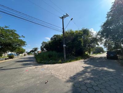 imagem-miniatura