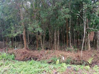 Terreno para Venda, em Itanham, bairro Bopiranga