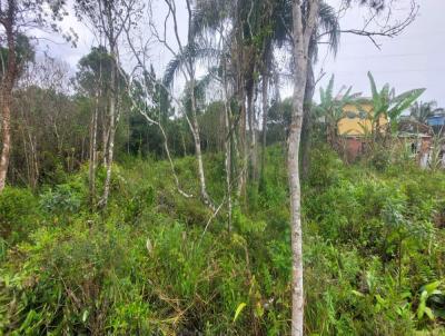 Terreno para Venda, em Itanham, bairro Luiza Mar