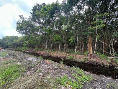 Terreno para Venda, em Itanham, bairro Paranapuan