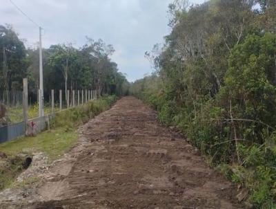 Ch�cara para Venda, em Itanha�m, bairro Ch�caras Lucel