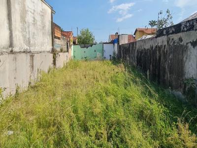 Terreno para Venda, em Itanha�m, bairro Jardim Regina