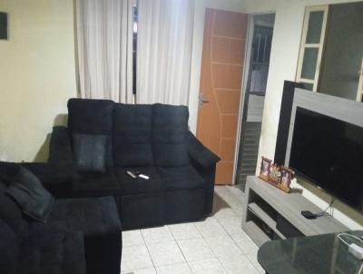 imagem-miniatura