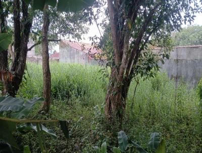 Terreno para Venda, em Itanha�m, bairro Cibratel 1