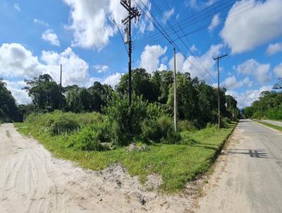 Terreno para Venda, em Itanha�m, bairro Jardim Coronel