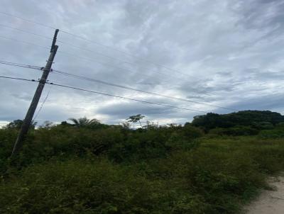 Terreno para Venda, em Itanha�m, bairro SANTA CRUZ
